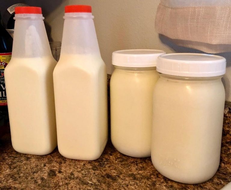 Start making raw milk kefir acclimating kefir grains to thrive in raw