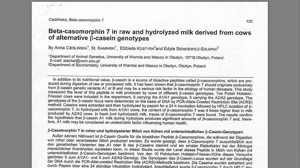 Polish study finds A1 and A2 milk react differently to pasteurization