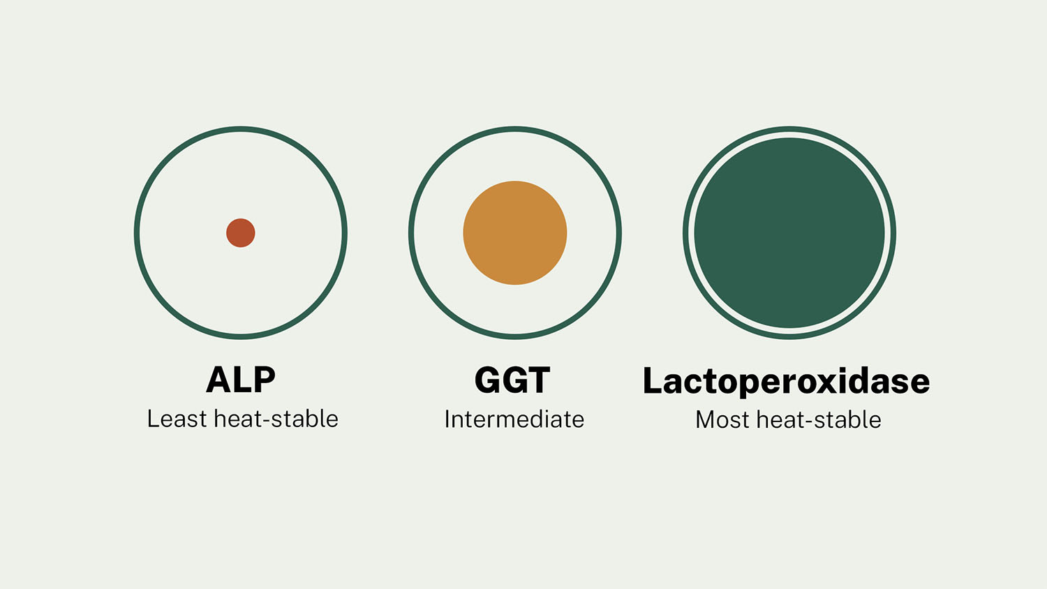 Illustration comparing three milk marker enzymes by heat stability after pasteurization: alkaline phosphatase nearly fully inactivated, GGT partially reduced, and lactoperoxidase largely intact.
