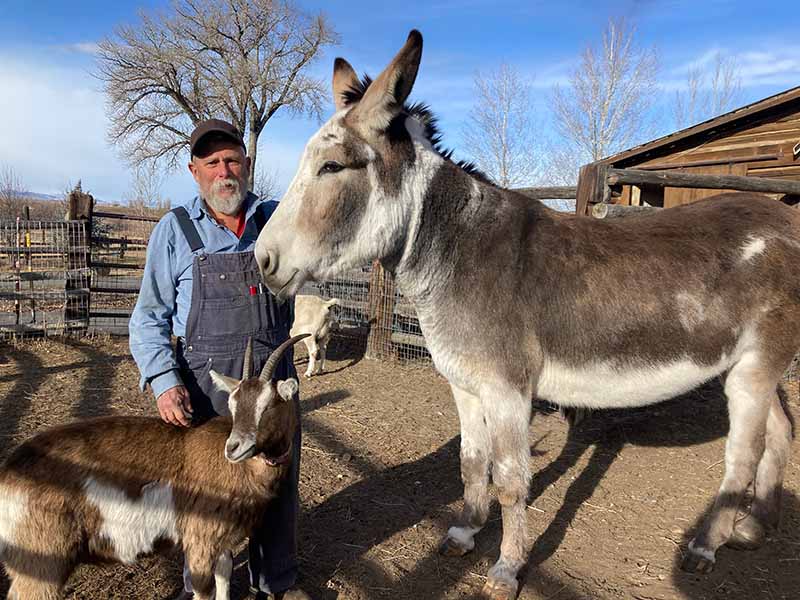 Quincy, owner of Birdsong Ranch raw milk farm in Hudson, Wyoming, standing with his donkey and a horned goat in the farmyard
