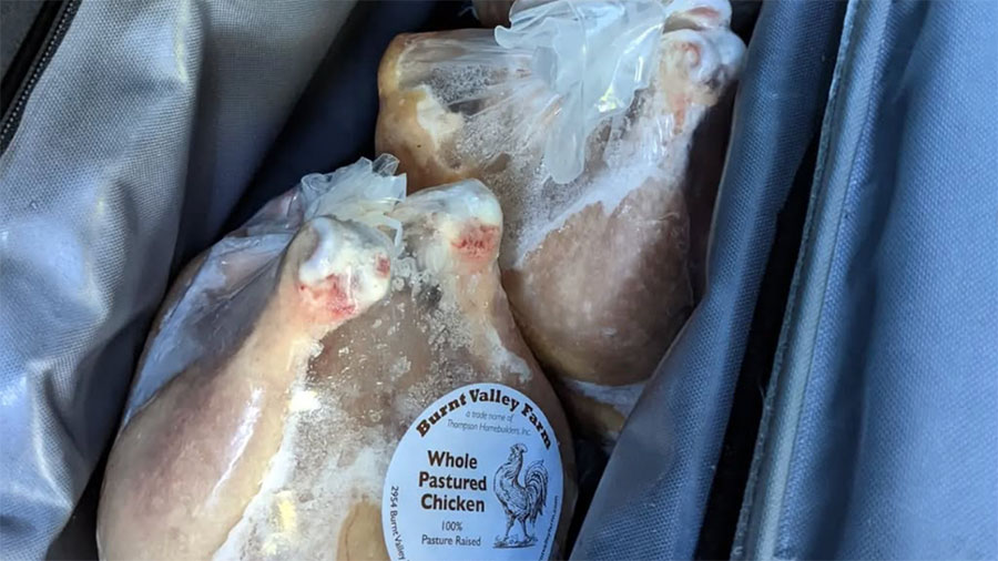 Florida wants to make it harder to sell chicken