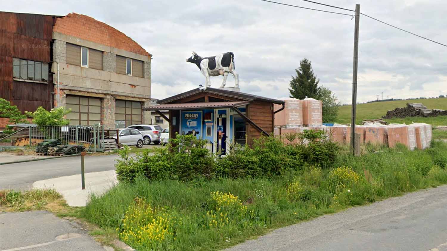 Roadside milk vending machine kiosk in the Czech Republic, with a life-size cow sculpture on the roof and a blue automat dispenser visible inside the wooden enclosure