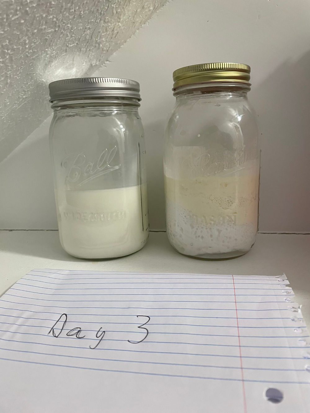 Photo timeline of raw milk vs pasteurized milk sitting at room temperature