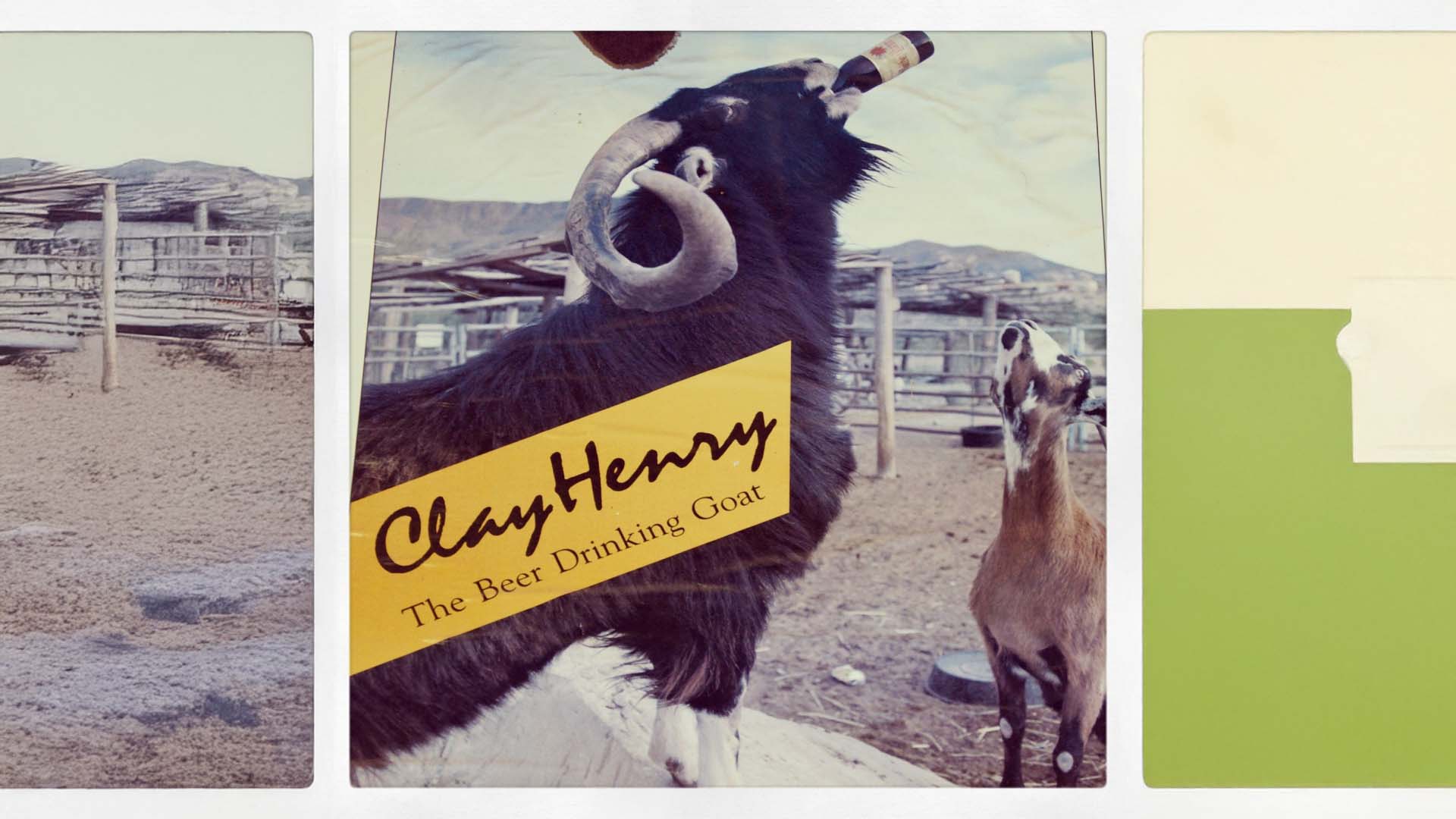 Various goats elected mayor in the USA