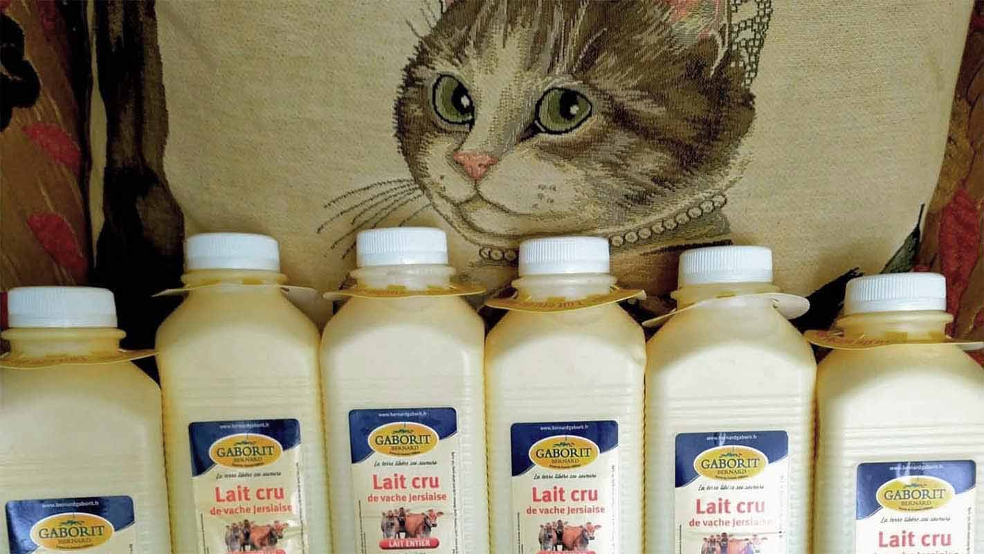 Raw milk is lait cru in France