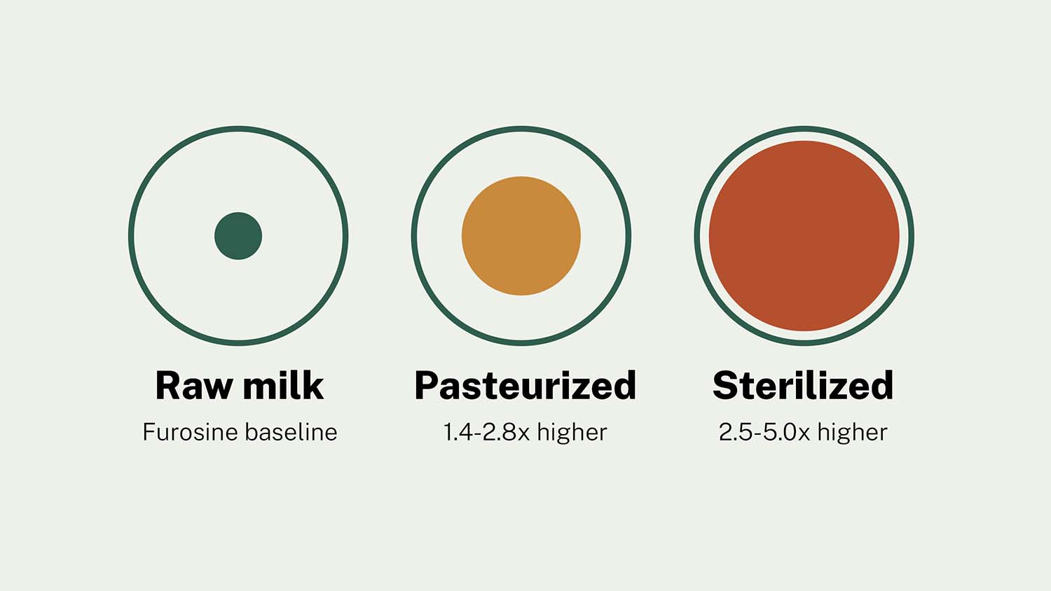 Illustration showing furosine levels increasing from a baseline in raw milk to 1.4–2.8 times higher under pasteurization and 2.5–5.0 times higher under sterilization.
