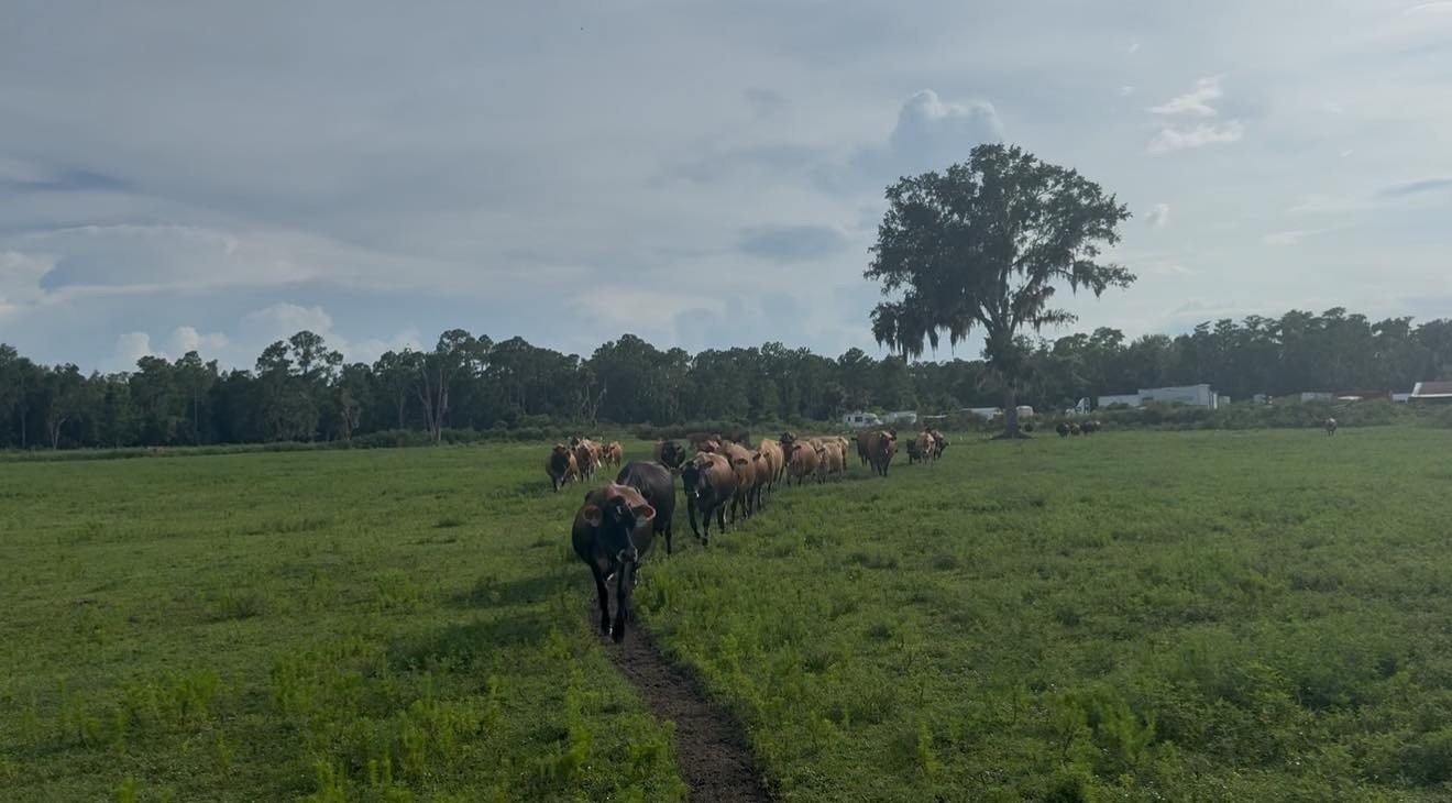 Florida DOH names Keely Farms Dairy as source of outbreak, but never contacts them