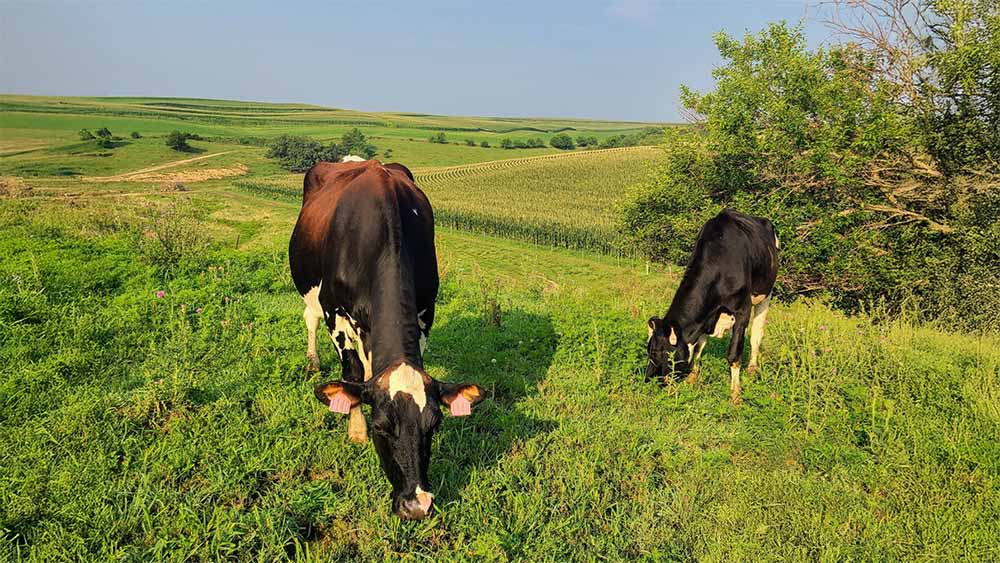 Iowa HF 2444: Raw Milk Farm Stores, Cottage Foods in Grocery Stores, and Farm-To-Table Dining