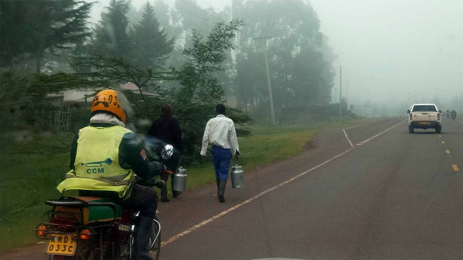 Two men walk along a misty rural road in Kenya carrying aluminium milk cans, beside a motorcycle taxi rider in a yellow vest.