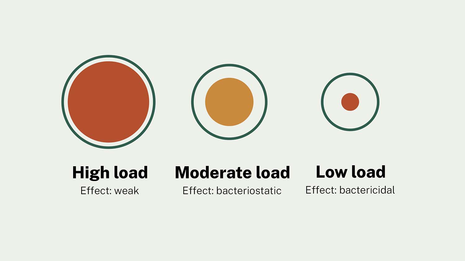 Illustration showing the lactoperoxidase system's antibacterial effect at three starting bacterial concentrations: weak at high load, bacteriostatic at moderate load, and bactericidal at low load.