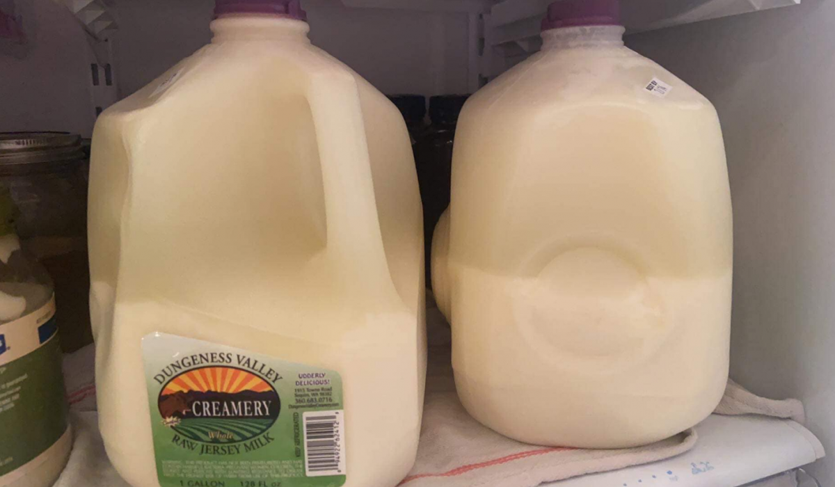 Can raw milk be frozen? Alternatives for mediumlong term storage Get Raw Milk