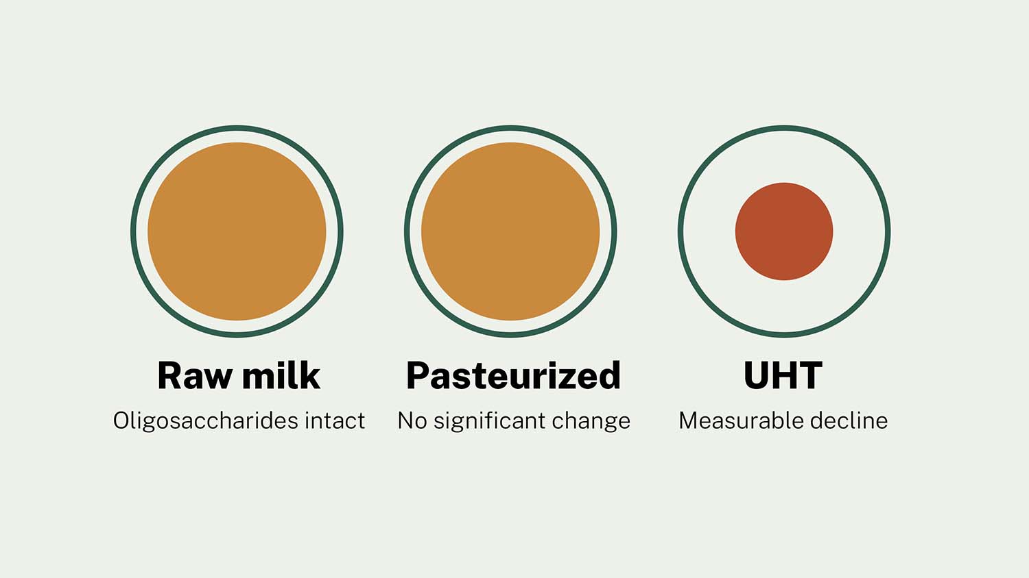 Illustration showing milk oligosaccharide levels remaining unchanged between raw milk and pasteurized milk, with a decline only under UHT sterilization.
