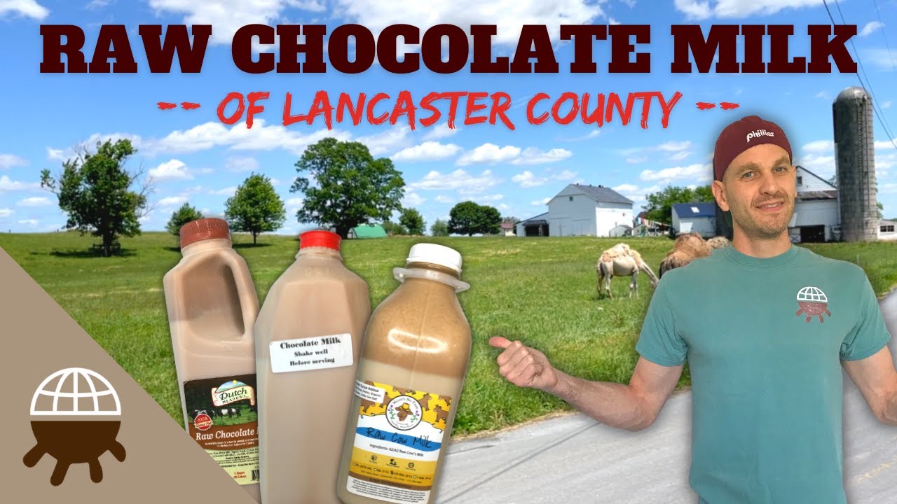 PJ is reviewing every chocolate milk in the USA