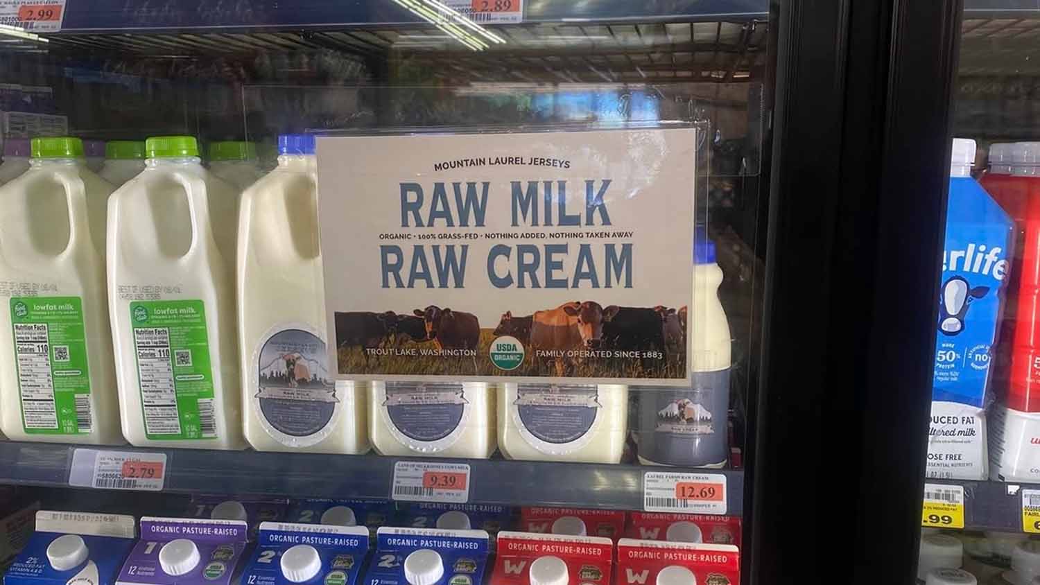 A retail dairy case sign for Mountain Laurel Jerseys raw milk and raw cream, a USDA Organic, family-operated farm in Trout Lake, Washington, displayed next to jugs of raw milk.