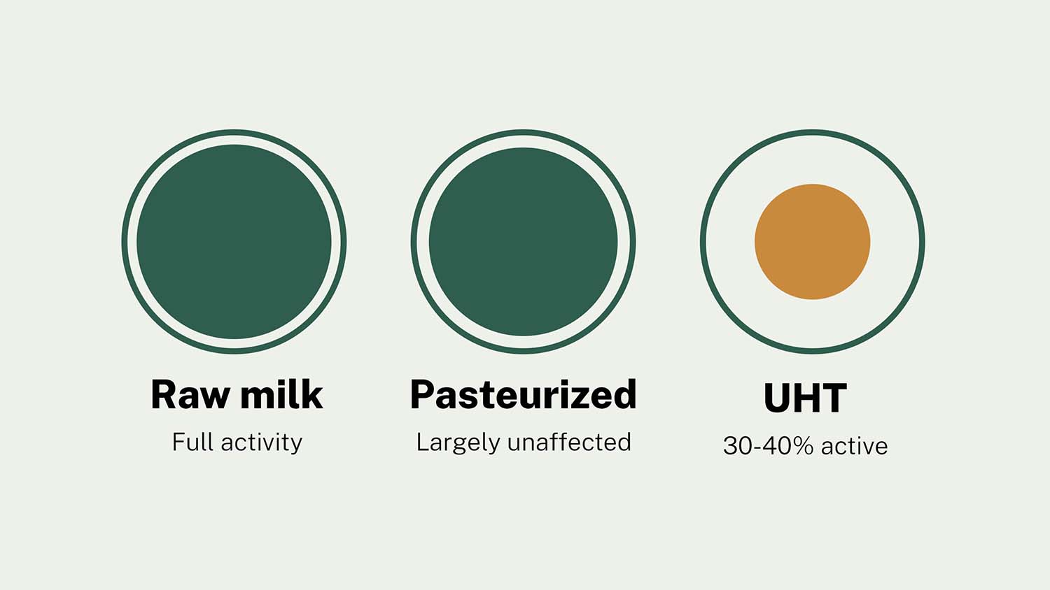 Illustration showing plasmin enzyme activity remaining largely unaffected by pasteurization and retaining 30 to 40 percent activity even after UHT treatment.