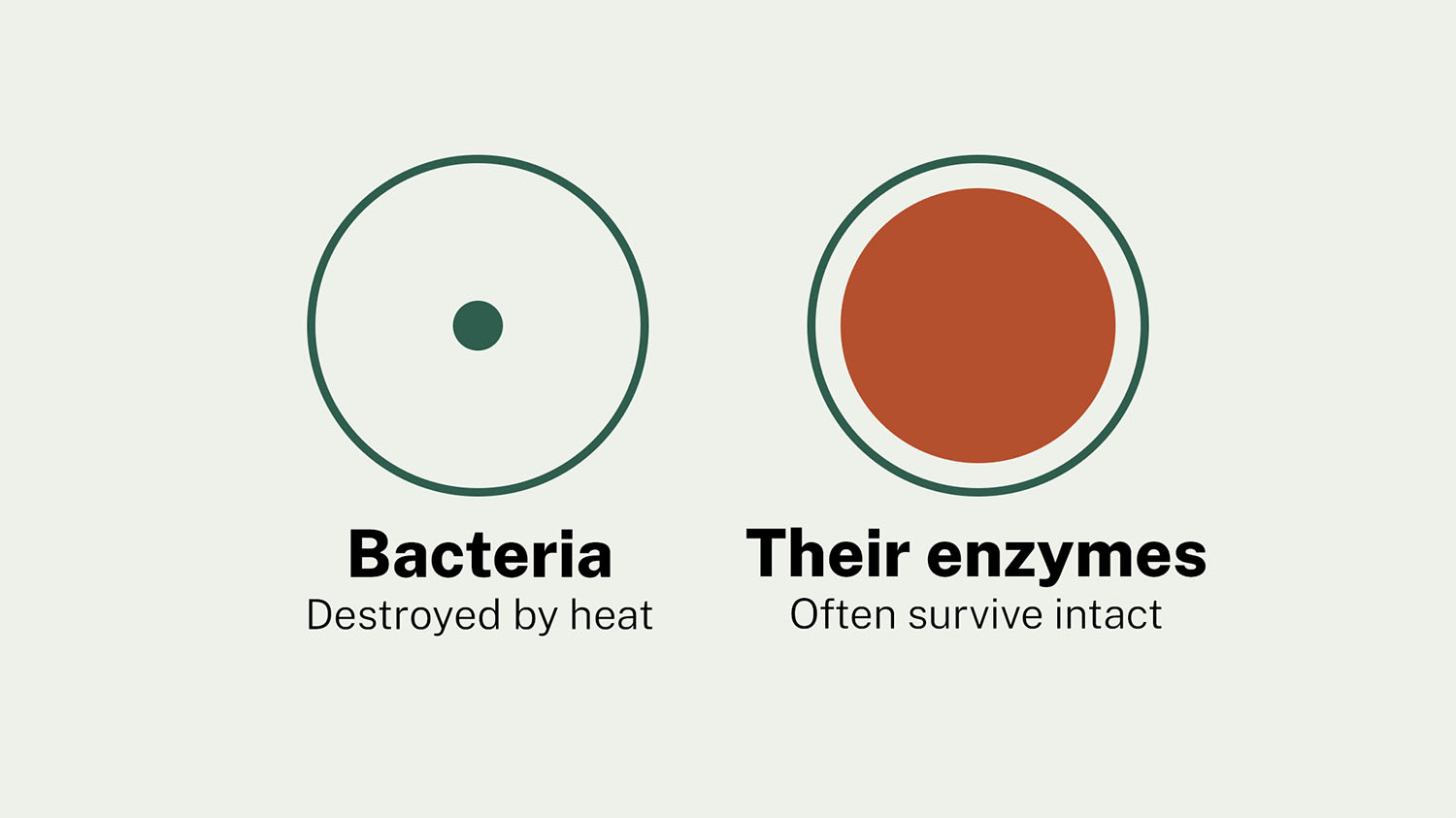 Cold-Storage Bacteria Leave Enzymes Pasteurization Can’t Touch