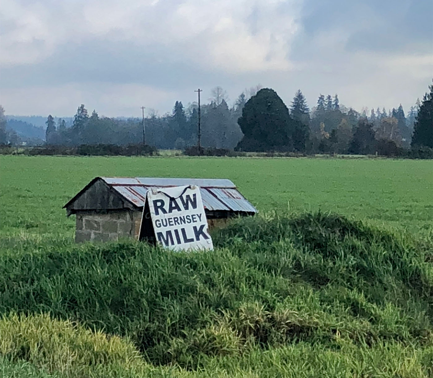 Washington bills to increase cottage food cap and allow direct-to-consumer raw milk sales
