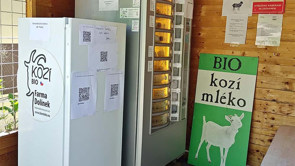 Raw milk is nepasterizované mléko in the Czech Republic