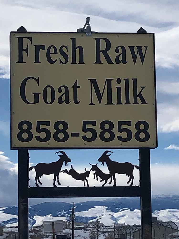 Roadside sign for Birdsong Ranch reading "Fresh Raw Goat Milk 858-5858" with decorative goat silhouettes, snow-capped Wyoming mountains in the background