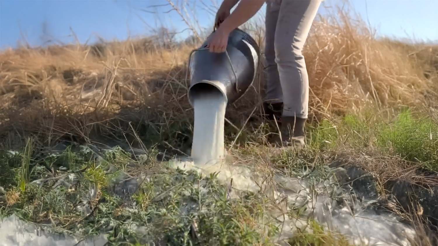 Did a Competing Dairy Report Like Wildflowers Homestead to Texas Regulators?