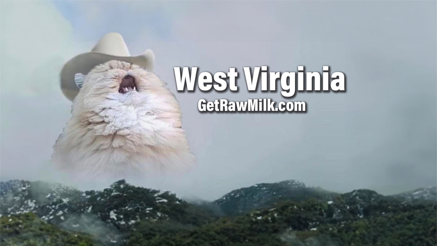 West Virginia bills to legalize raw milk sales in 2024