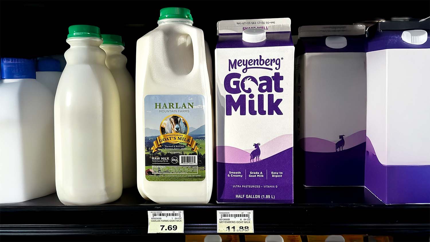 Raw unpasteurized goat milk from Harlan Mountain Farms next to ultra-pasteurized Meyenberg goat milk on a store shelf.