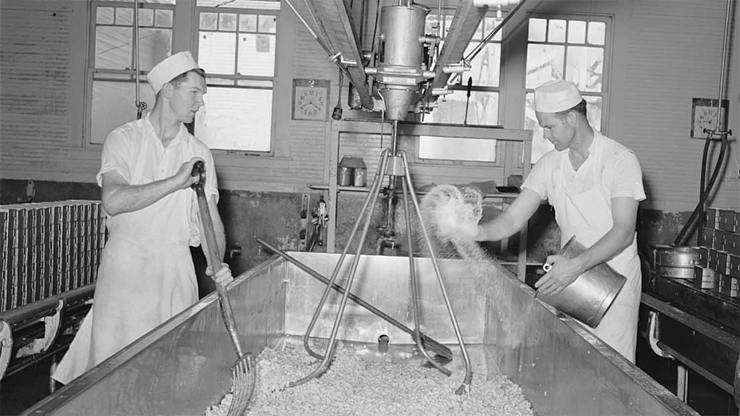 A worker salting cheddar curd at the Tillamook cheese plant in Tillamook County, Oregon, October 1941, photographed by Russell Lee for the U.S. Farm Security Administration.