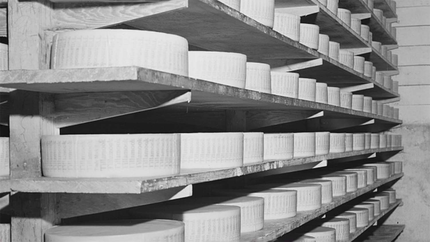 Wheels of cheese aging on wooden shelves at the Tillamook cheese plant in Oregon, circa 1940, photographed for the U.S. Farm Security Administration.