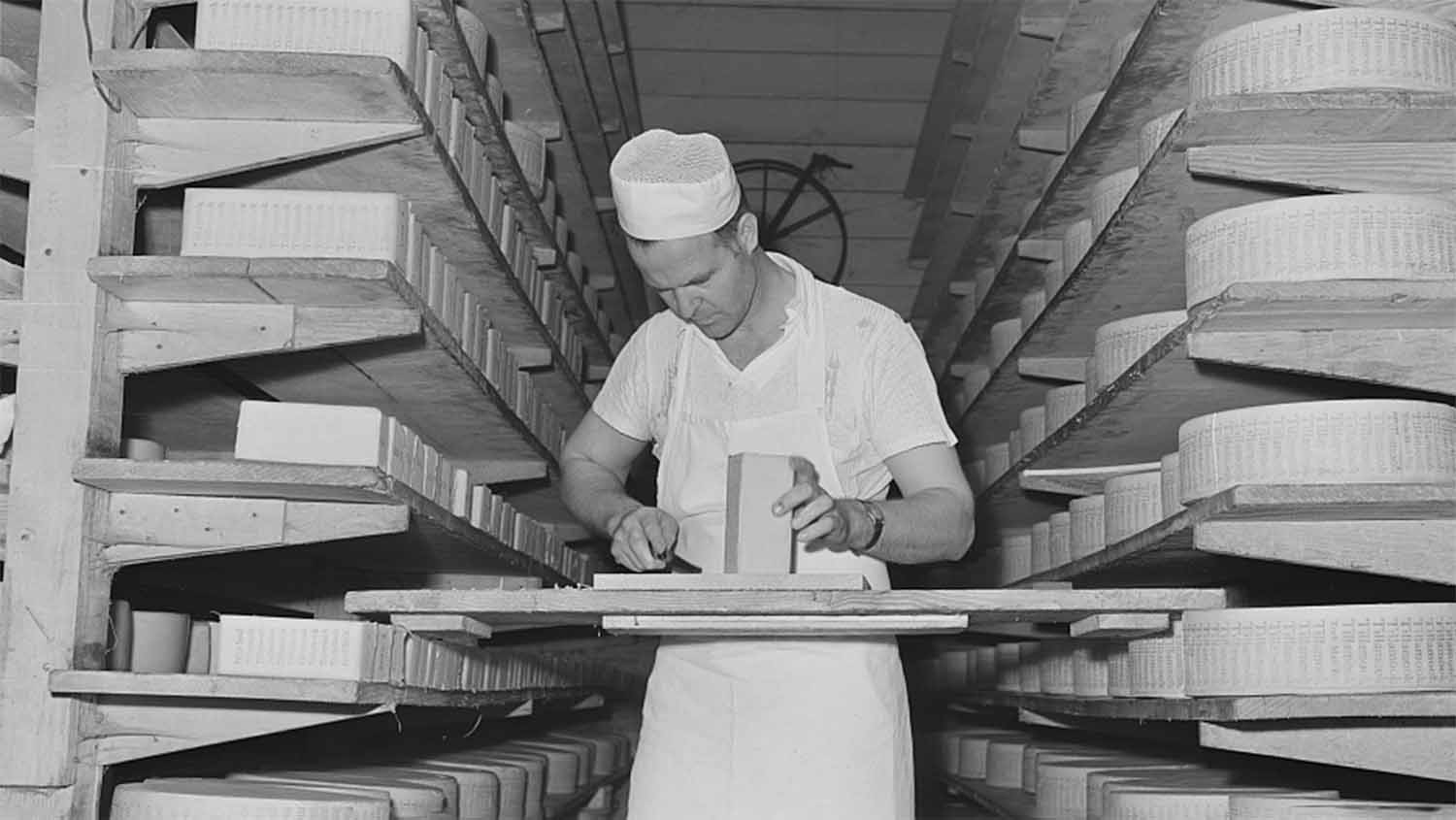 A worker trimming mold from aging cheese at the Tillamook cheese plant in Tillamook County, Oregon, October 1941, photographed by Russell Lee for the U.S. Farm Security Administration.