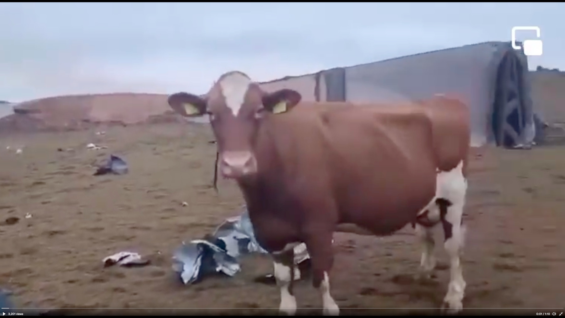 Agromol dairy bombed in Ukraine