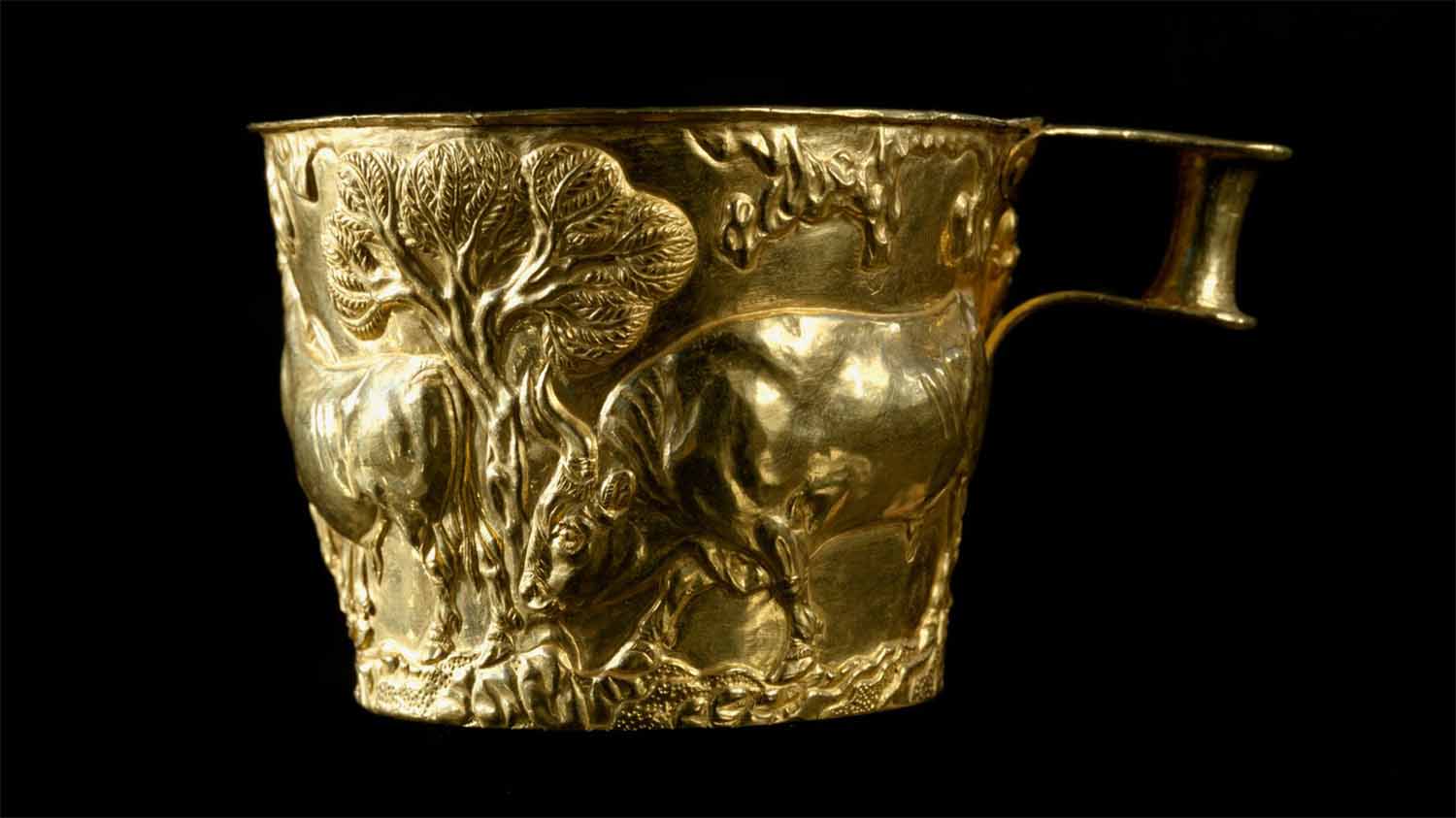 Gold Vaphio Cup showing a bull lowering its head beneath a tree, one of the oldest depictions of wild-bull hunting