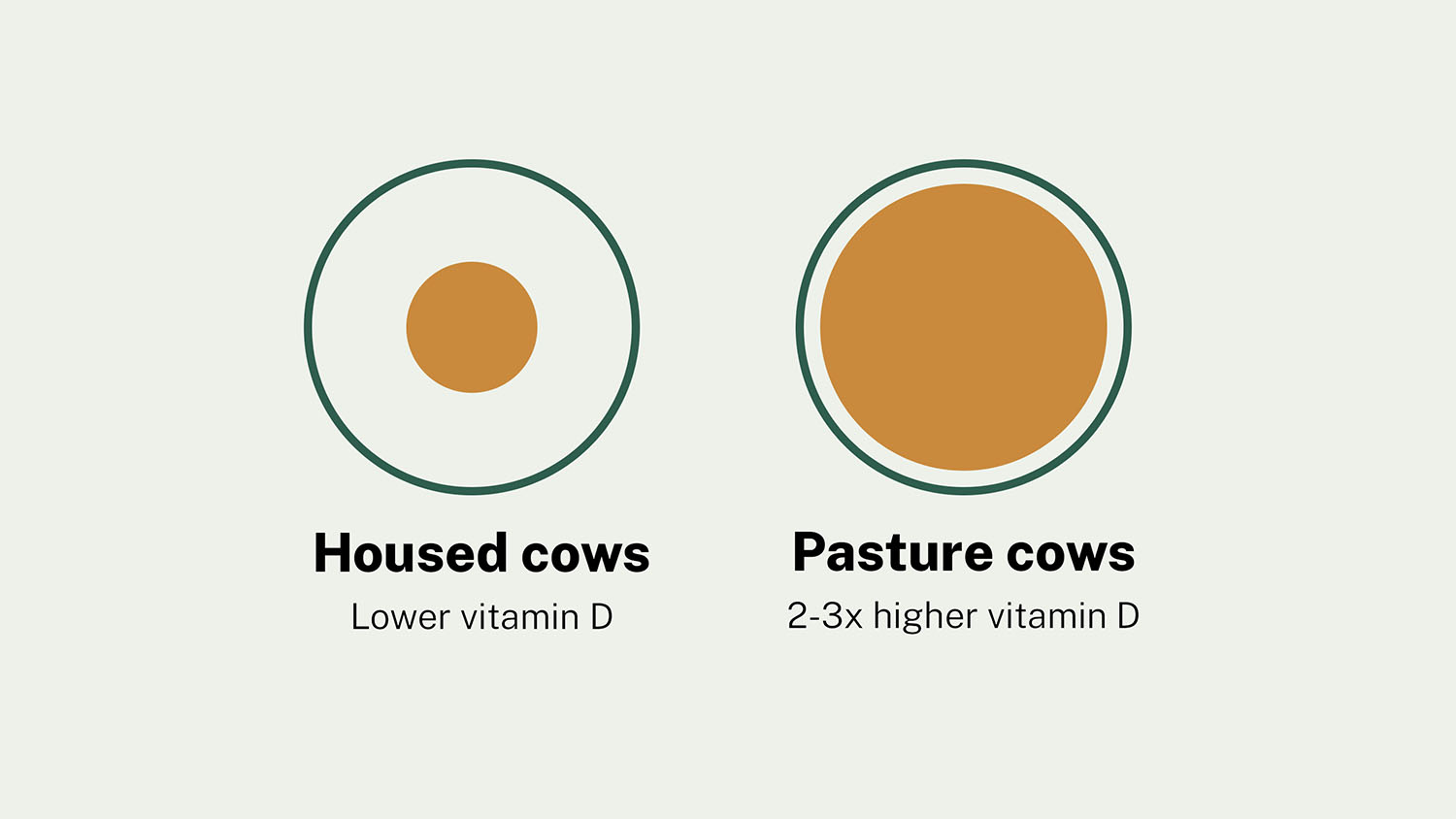 Illustration contrasting vitamin D content in milk from cows kept on pasture versus cows kept housed indoors, showing pasture-raised cows produce milk with 2 to 3 times higher vitamin D content.
